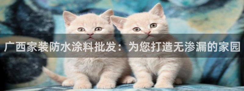 和记官方直营注册：广西家装防水涂料批发：为您打造无渗漏的家园