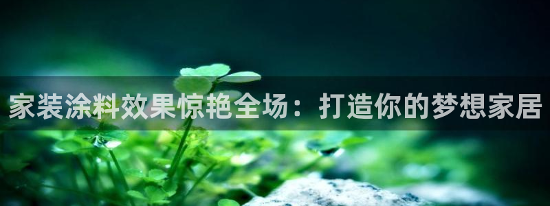 官方和记国际平台登录：家装涂料效果惊艳全场：打造你的梦想家居