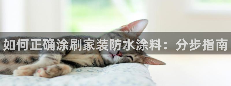 和记官网官方网站