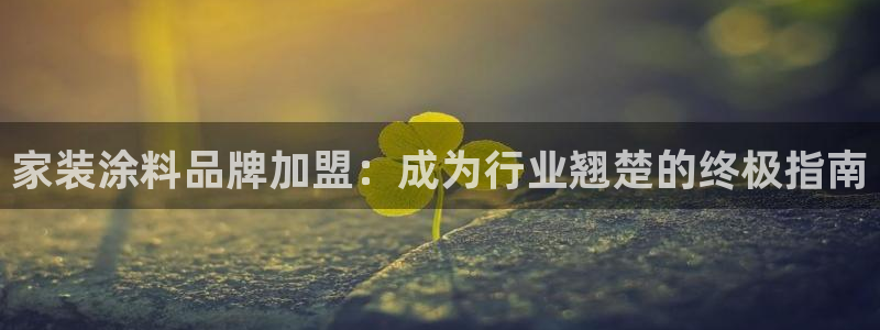 和记官网登陆：家装涂料品牌加盟：成为行业翘楚的终极指南