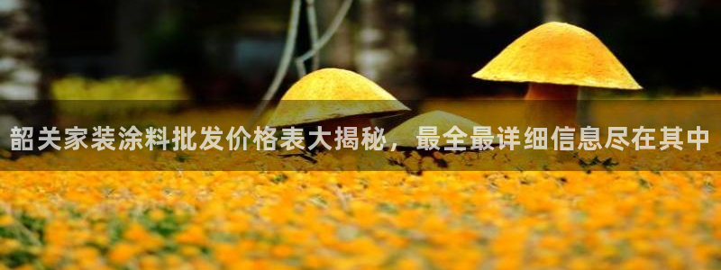 和记app官网：韶关家装涂料批发价格表大揭秘，最全最详细信息尽在其中