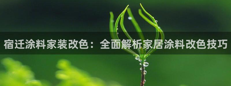 和记国际电讯市值：宿迁涂料家装改色：全面解析家居涂料改色技巧
