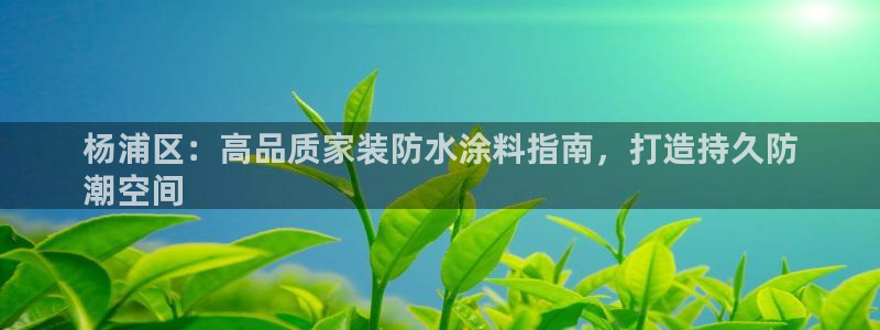 官方和记国际平台登录：杨浦区：高品质家装防水涂料指南，打造持久防
潮空间