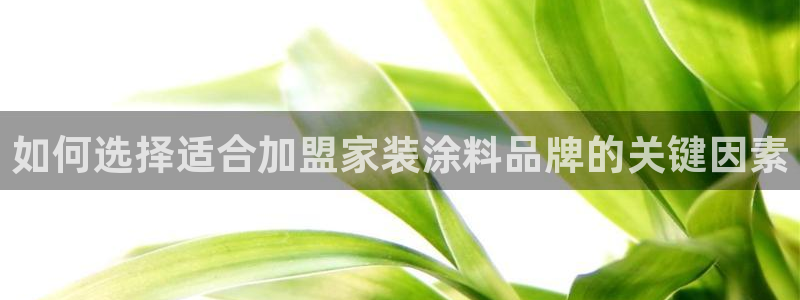 和记官方网站：如何选择适合加盟家装涂料品牌的关键因素