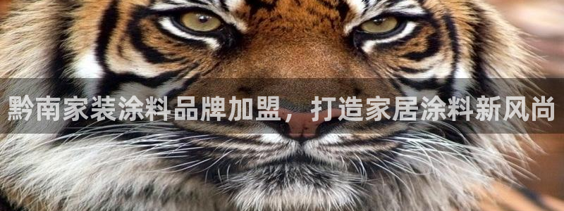 和记电业集团：黔南家装涂料品牌加盟，打造家居涂料新风尚