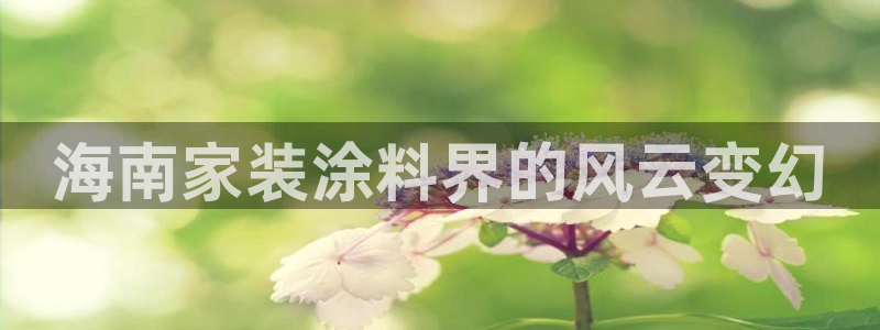 和记ag网页版：海南家装涂料界的风云变幻