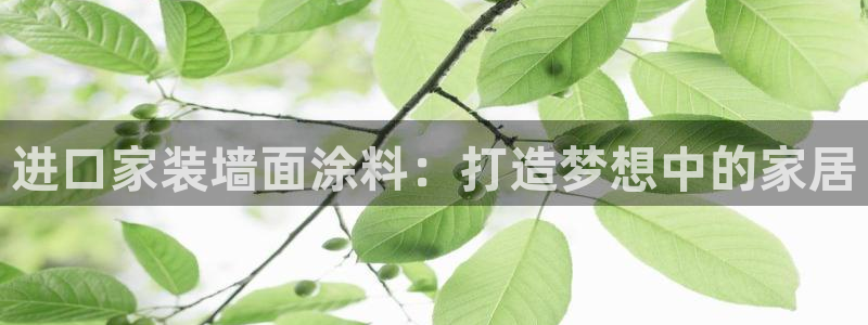 和记h88最新客户端下载：进口家装墙面涂料：打造梦想中的家居