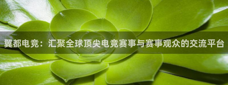 南宫电竞平台