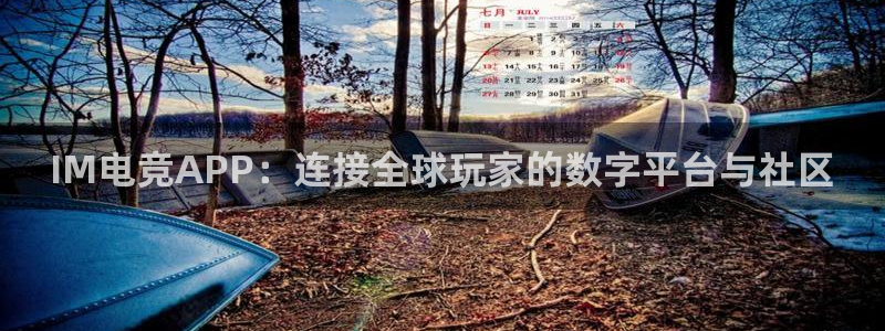 南宫电竞：IM电竞APP：连接全球玩家的数字平台与社区