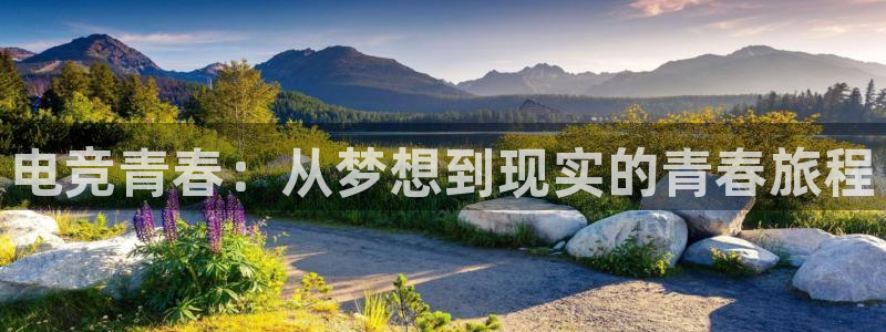 南宫电竞：电竞青春：从梦想到现实的青春旅程