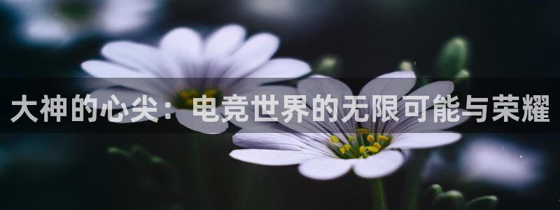 南宫电竞贴吧：大神的心尖：电竞世界的无限可能与荣耀