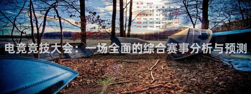 南宫电竞登陆：电竞竞技大会：一场全面的综合赛事分析与预测