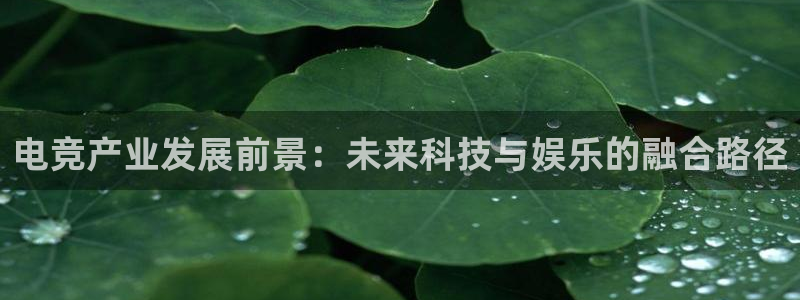 南宫电竞app