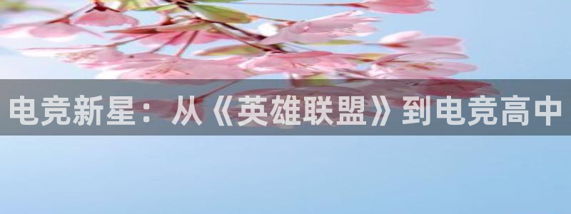 南宫电竞网