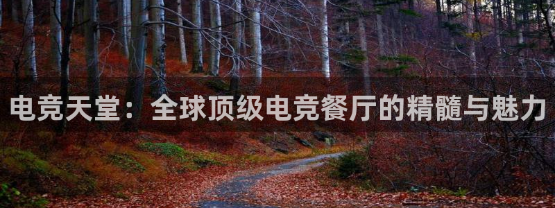 南宫电竞贴吧