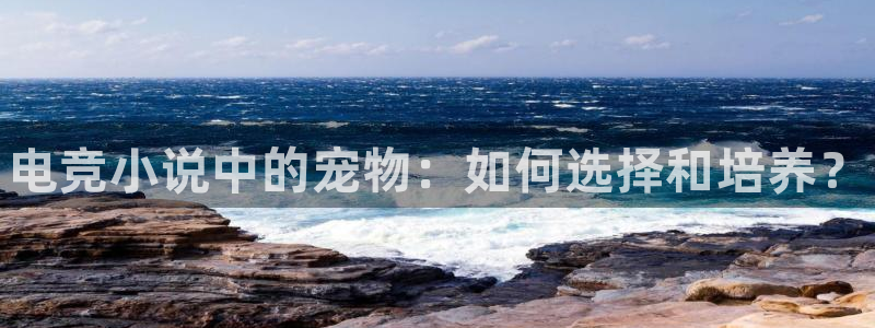 南宫电竞贴吧