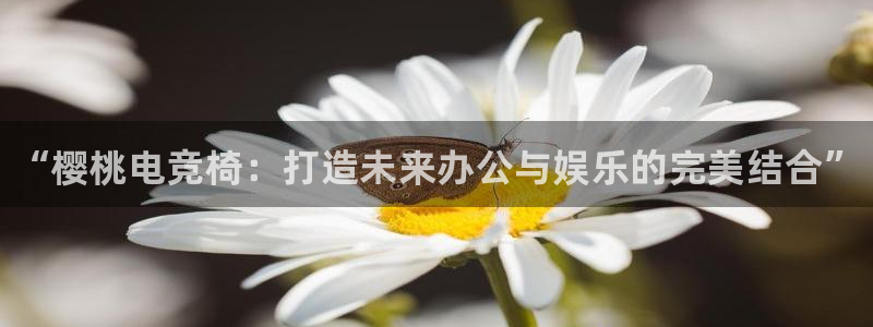 南宫电竞贴吧