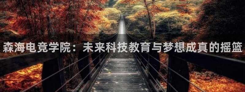 南宫电竞网