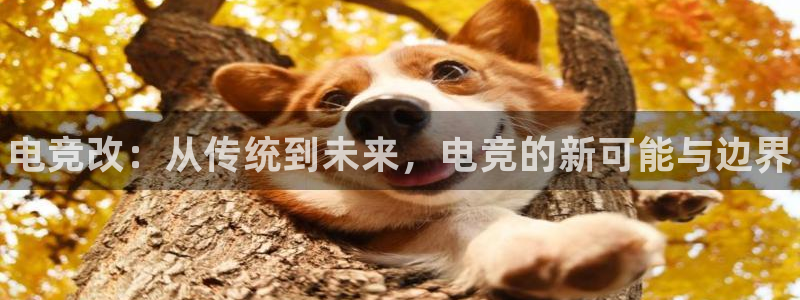 南宫电竞app