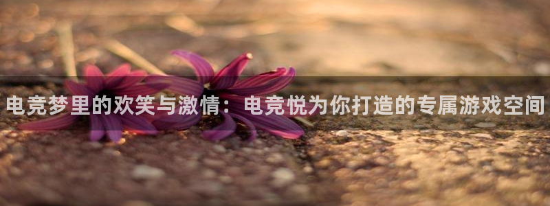 南宫电竞官网