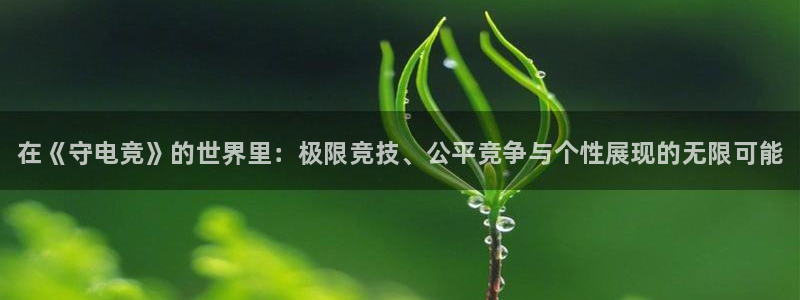 南宫电竞app