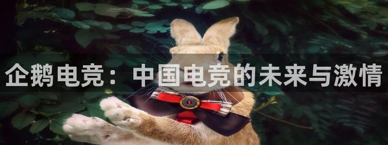 南宫电竞