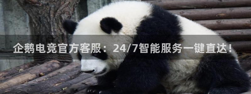 南宫电竞网