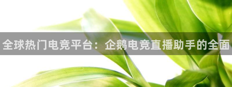南宫电竞贴吧