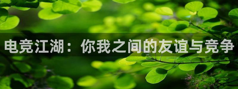 南宫电竞注册