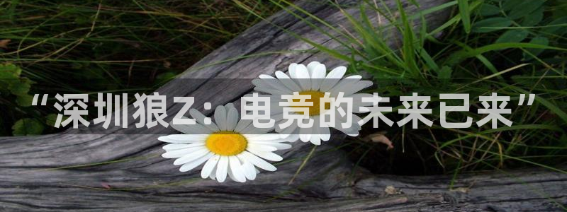 南宫电竞平台