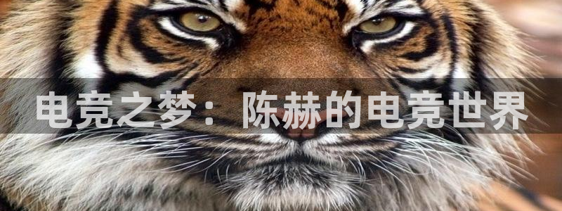 南宫电竞登陆