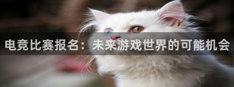 南宫电竞网：电竞比赛报名：未来游戏世界的可能机会
