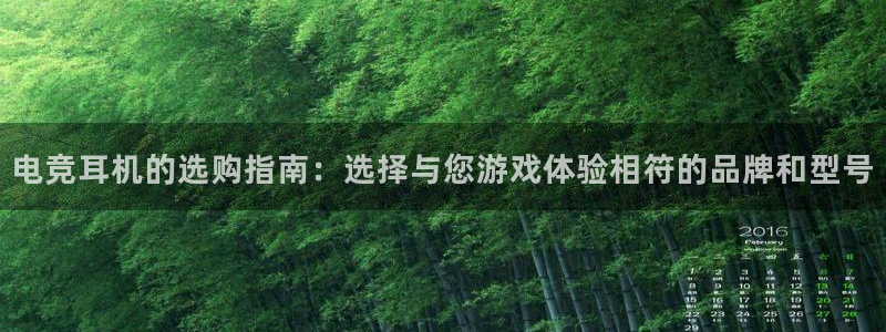 南宫电竞登陆：电竞耳机的选购指南：选择与您游戏体验相符的品牌和型号