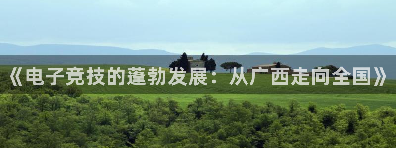南宫电竞网：《电子竞技的蓬勃发展：从广西走向全国》