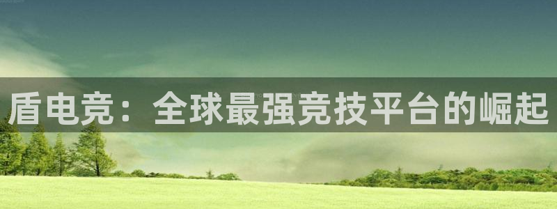 南宫电竞：盾电竞：全球最强竞技平台的崛起