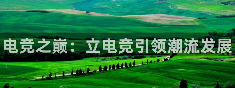 南宫电竞网：电竞之巅：立电竞引领潮流发展