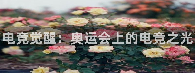 南宫电竞：电竞觉醒：奥运会上的电竞之光