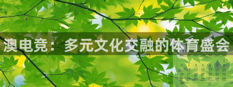 南宫电竞app：澳电竞：多元文化交融的体育盛会