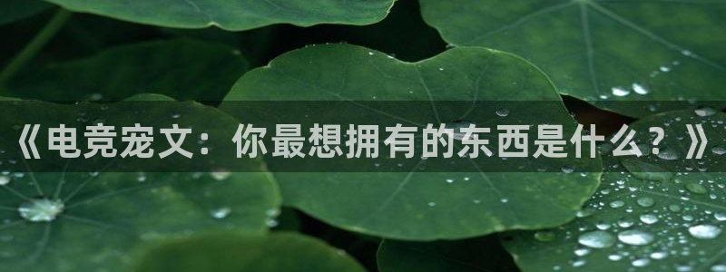南宫电竞贴吧：《电竞宠文：你最想拥有的东西是什么？》