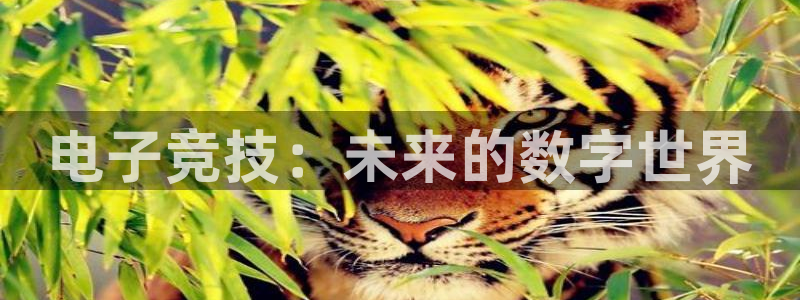 南宫电竞官网：电子竞技：未来的数字世界