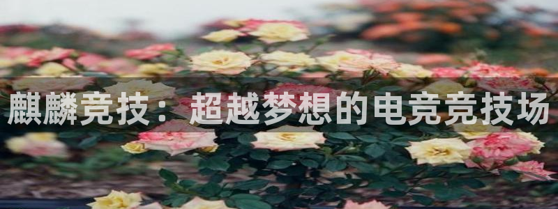 南宫电竞注册：麒麟竞技：超越梦想的电竞竞技场