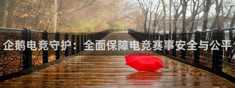 南宫电竞：企鹅电竞守护：全面保障电竞赛事安全与公平