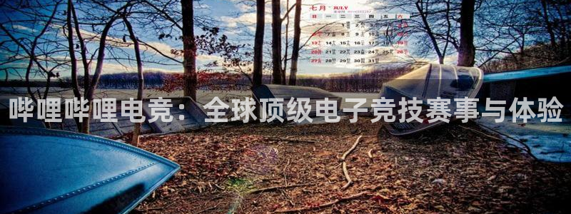 南宫电竞app：哔哩哔哩电竞：全球顶级电子竞技赛事与体验