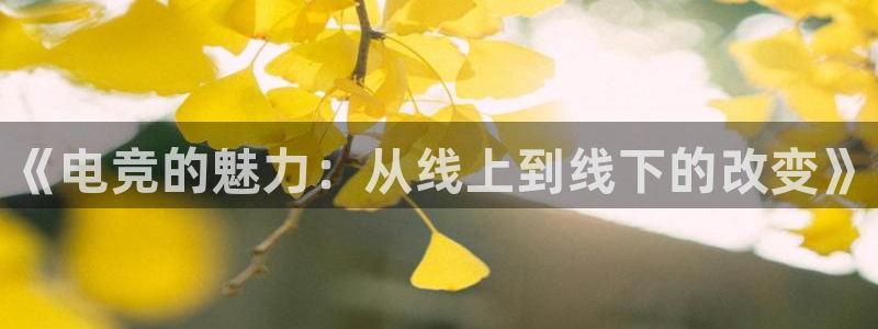 南宫电竞网：《电竞的魅力：从线上到线下的改变》
