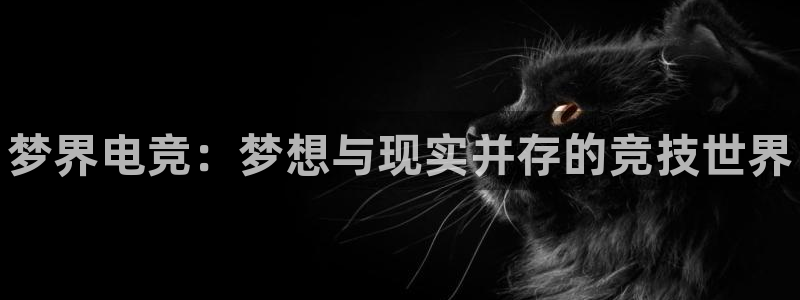 南宫电竞：梦界电竞：梦想与现实并存的竞技世界