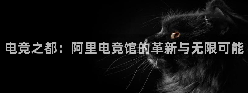 南宫电竞网：电竞之都：阿里电竞馆的革新与无限可能