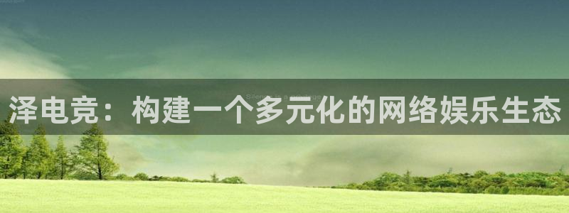 南宫电竞平台：泽电竞：构建一个多元化的网络娱乐生态