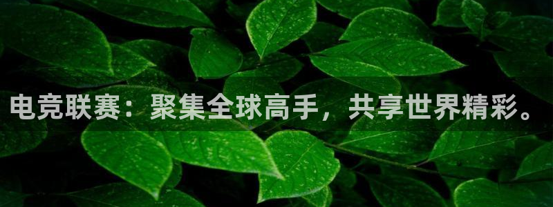 南宫电竞平台：电竞联赛：聚集全球高手，共享世界精彩。