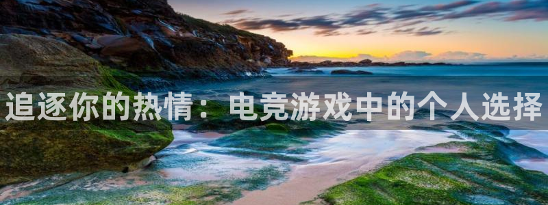 南宫电竞：追逐你的热情：电竞游戏中的个人选择