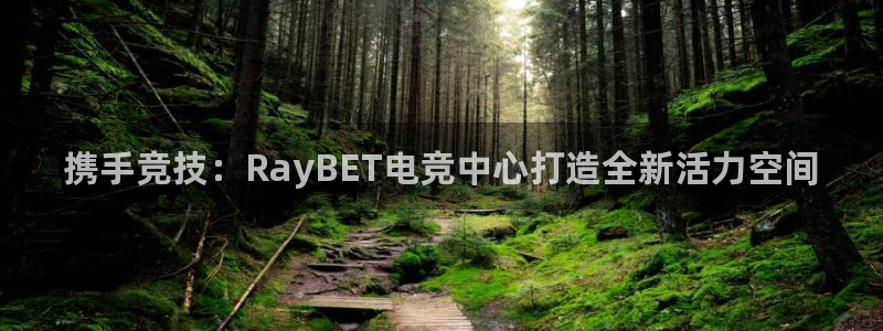 南宫电竞官网：携手竞技：RayBET电竞中心打造全新活力空间